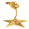 Lonely Star